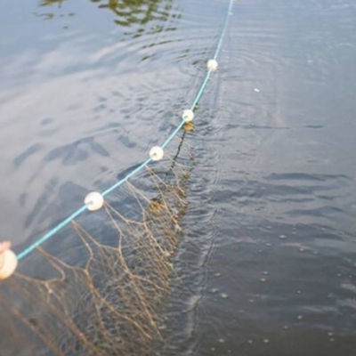 Кілія браконьєр