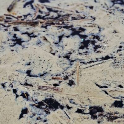 Тузлівськи лимани плямами соняшникової олії