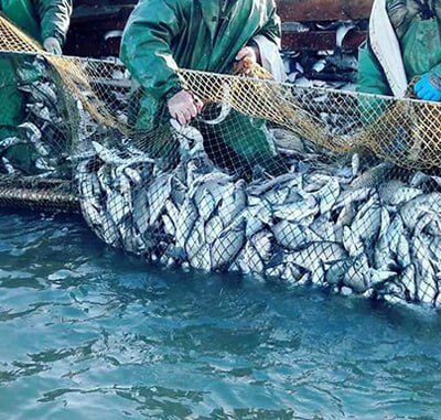 військові дії румунські рибалки