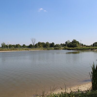 Білолісся падіння з бетонної пліти