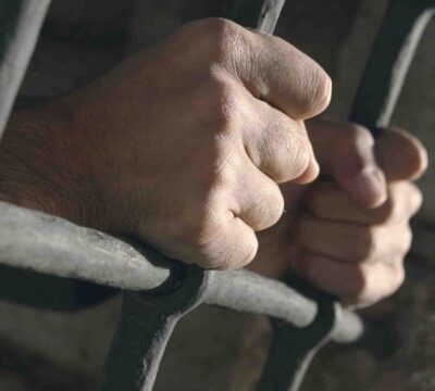 Болград крадіжка виноградних стовпчиків