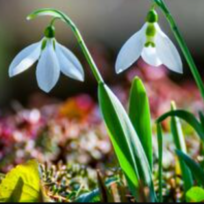 Одещина погода