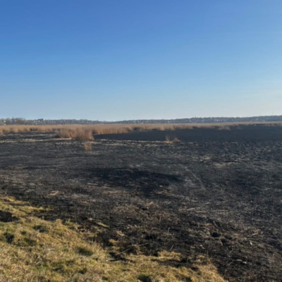 Сухолужжя пожежа сухостою