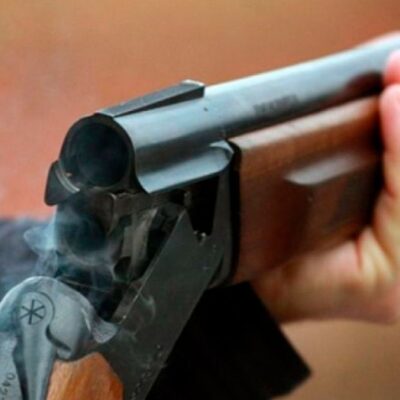 Вилкове підстрелив собаку