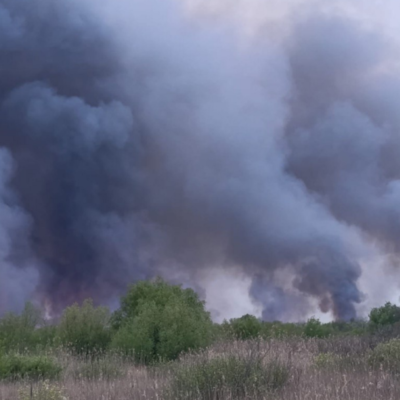 Дунайський біосферний заповідник пожежа