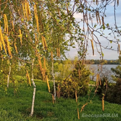 Одещина погода