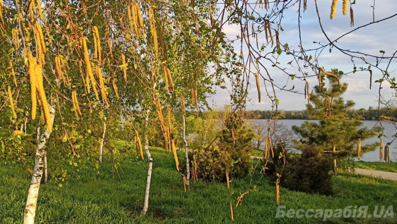 Одещина погода