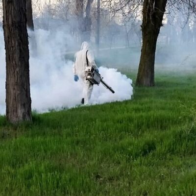Білгород-Дністровський обробка зелених зон