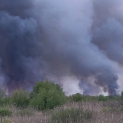 Дунайський біосферний заповідник пожежа