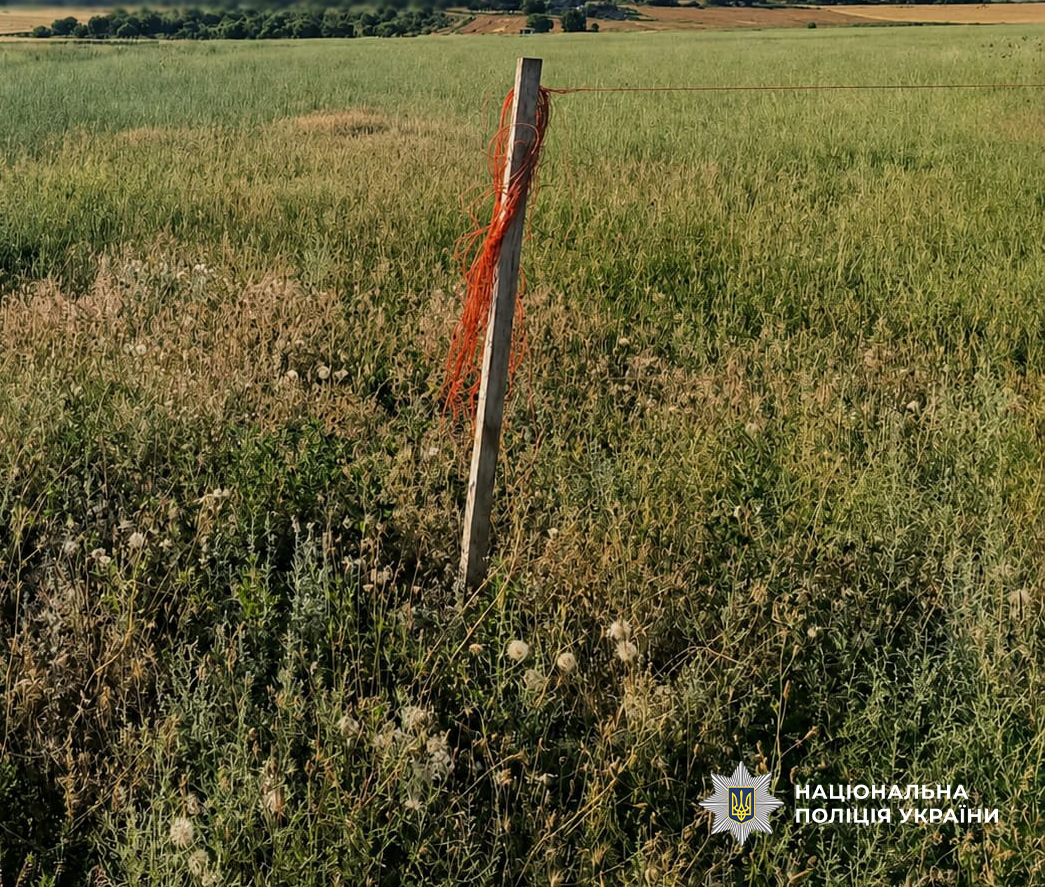 Житель Білгород-Дністровського району самовільно зайняв земельну ділянку в охоронній зоні для випасу худоби: матеріали кримінальної справи передано до суду