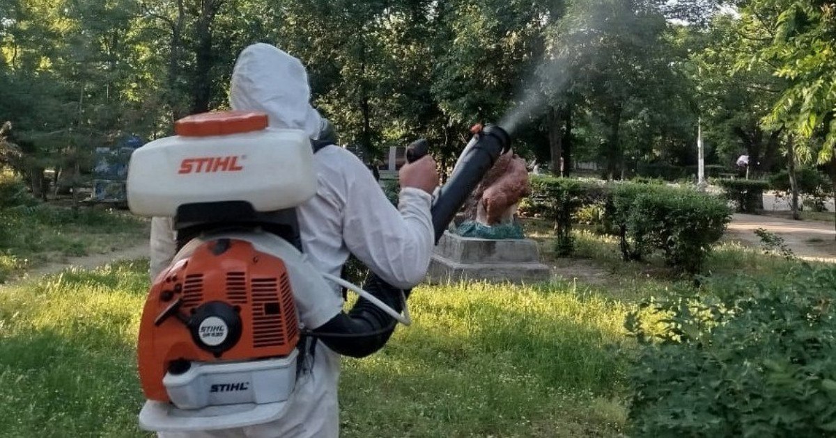 У Білгород-Дністровській громаді проводитиметься дезінсекція зелених насаджень