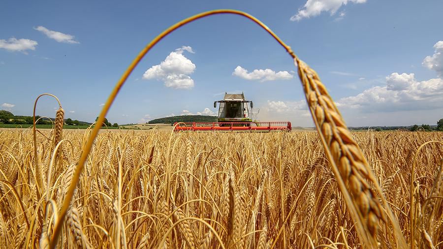 Жнива-2026: аграрії Болградського району демонструють високі показники врожайності