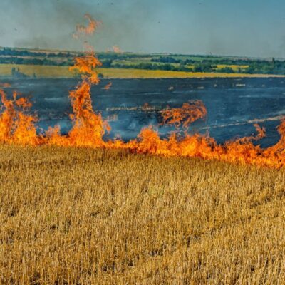 Одещина обстріл пшениця