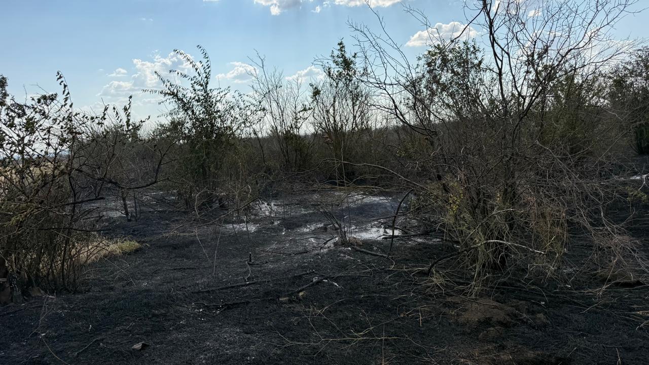 У Білгород-Дністровському районі горіння сміттєзвалища спричинило пожежу на залісненій території та сільськогосподарських угіддях