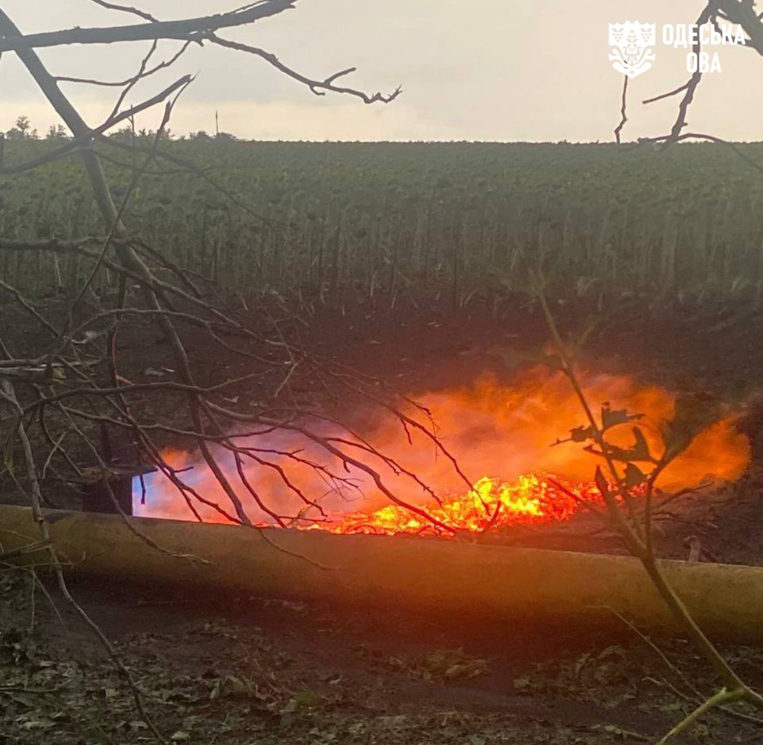 Ворог щодобово атакує Одещину: чергова дронова атака забрала життя людини