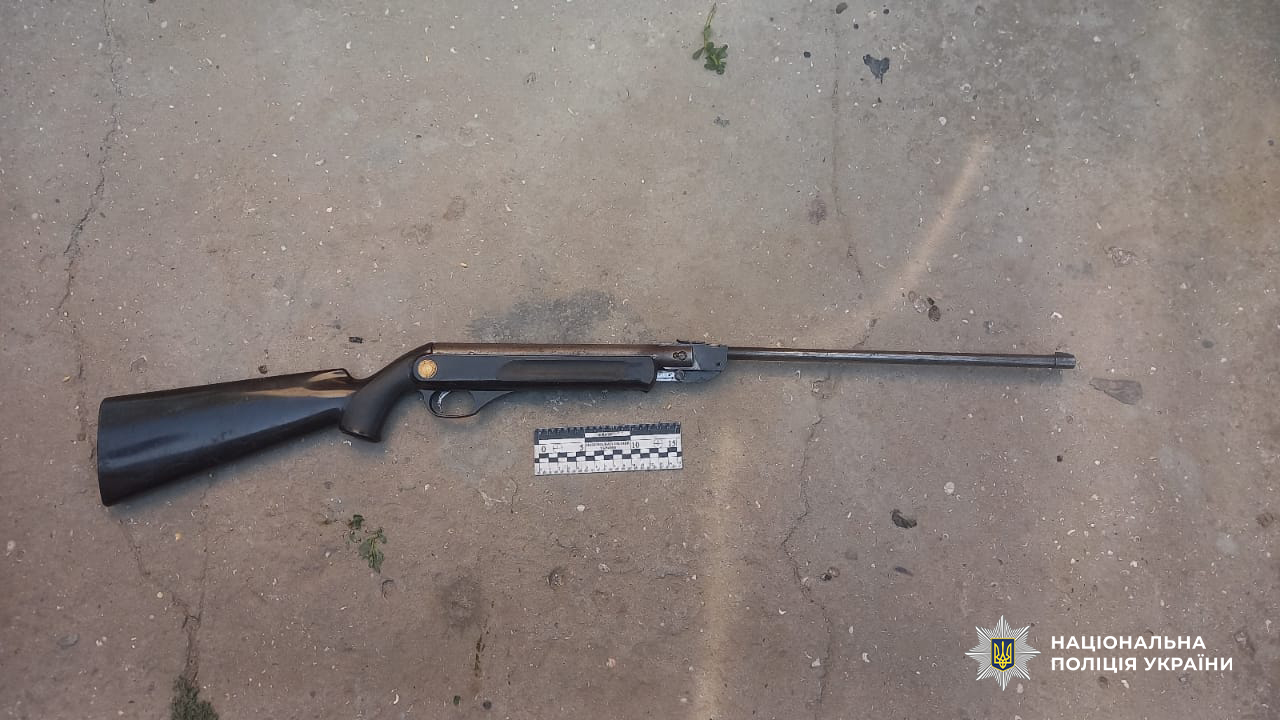 У Татарбунарській громаді чоловік застрелив із пневматичної гвинтівки собаку сусідки