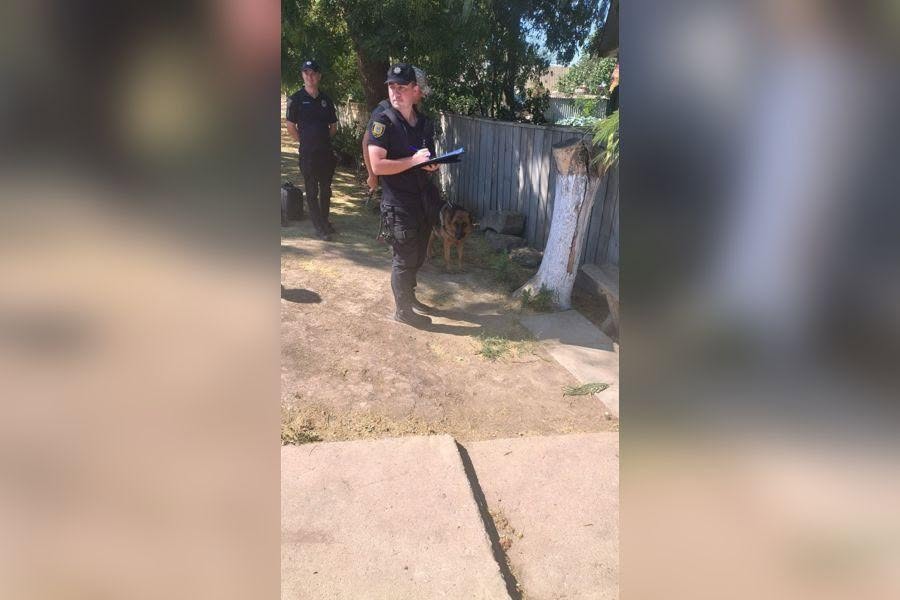 Односелець 15-річної Урсу Аліни з Ізмаїльського району зізнався у скоєнні вбивства: нові подробиці