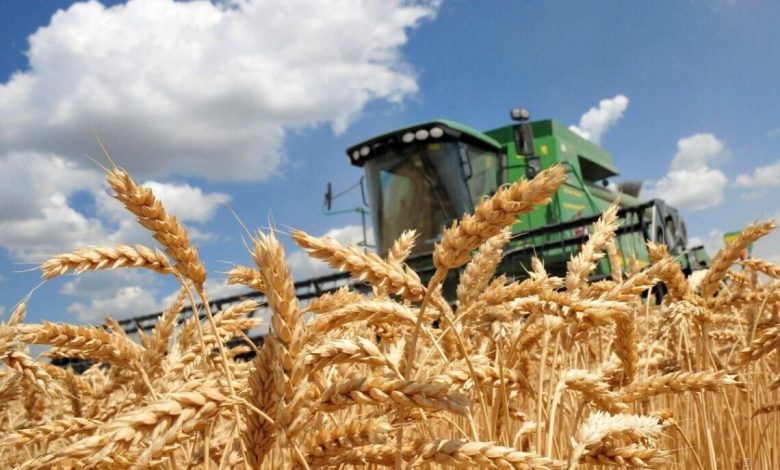 Аграрії Болградського району завершили збиральну кампанію ранніх зернових: громади-лідери