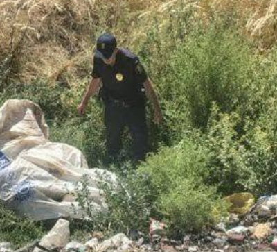 Комишівка вбивство Урсу Аліни