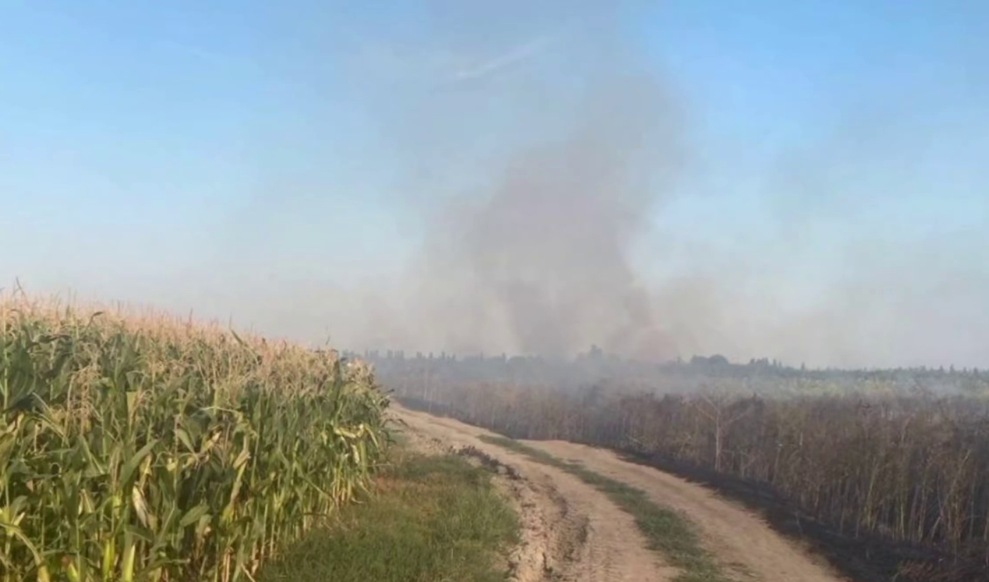 На території Молдови зафіксували падіння бойового БпЛА: на місці стався вибух