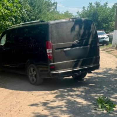 наїхала на сина
