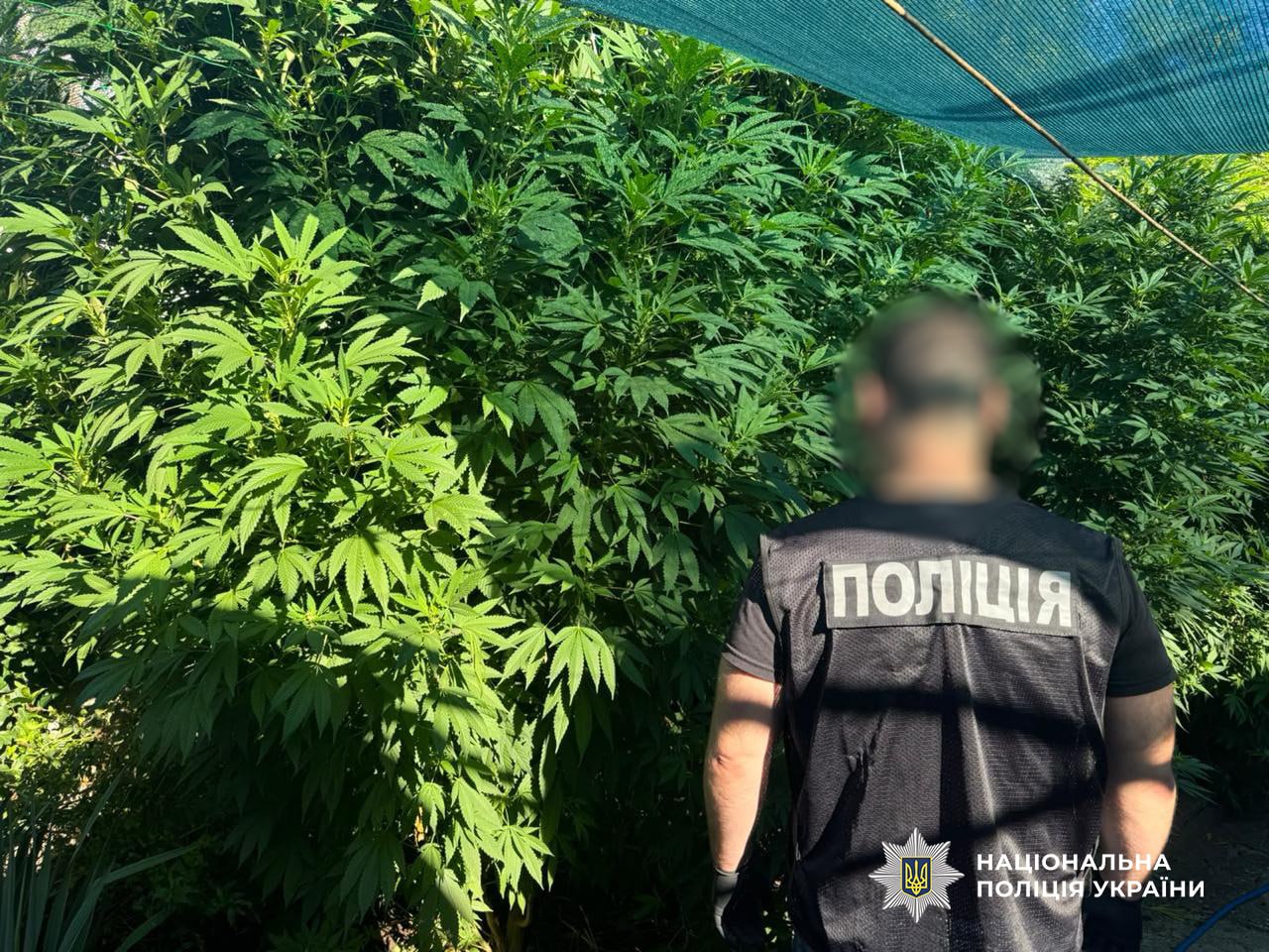 На Одещині завершено другий етап спецоперації «Джентльмени»: ліквідовано чотири нарколабораторії