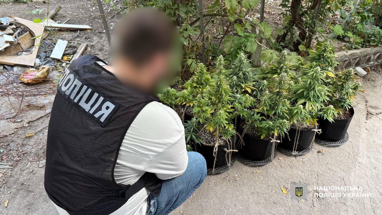На Одещині завершено другий етап спецоперації «Джентльмени»: ліквідовано чотири нарколабораторії