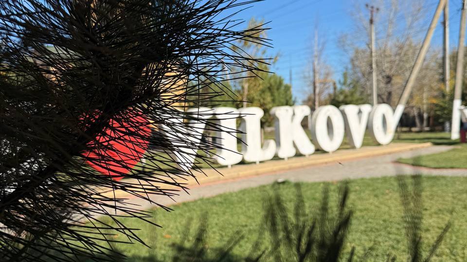 У Вилківській громаді проходять обговорення щодо розробки нового Статуту, який врегулює діяльність місцевих органів
